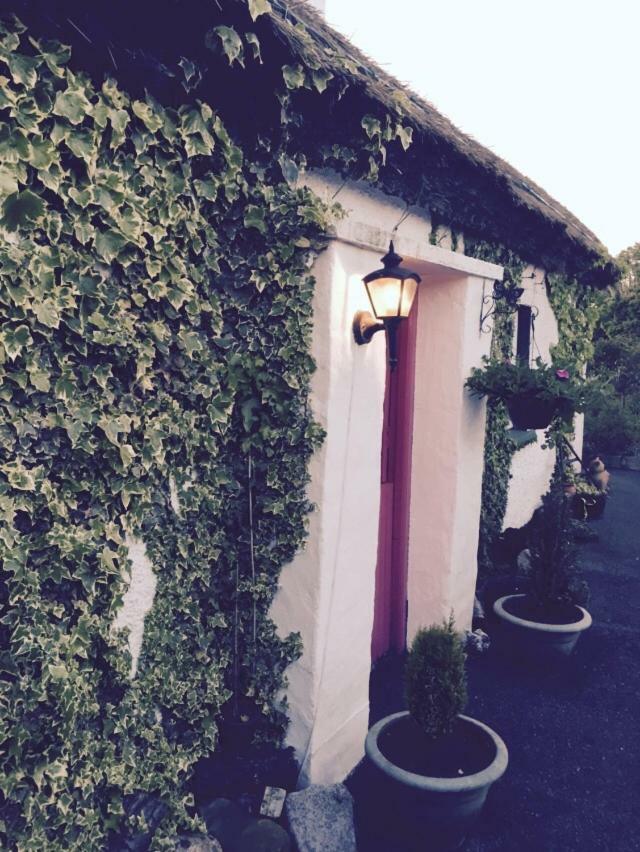 Teresas Cottage Donegal Town Buitenkant foto